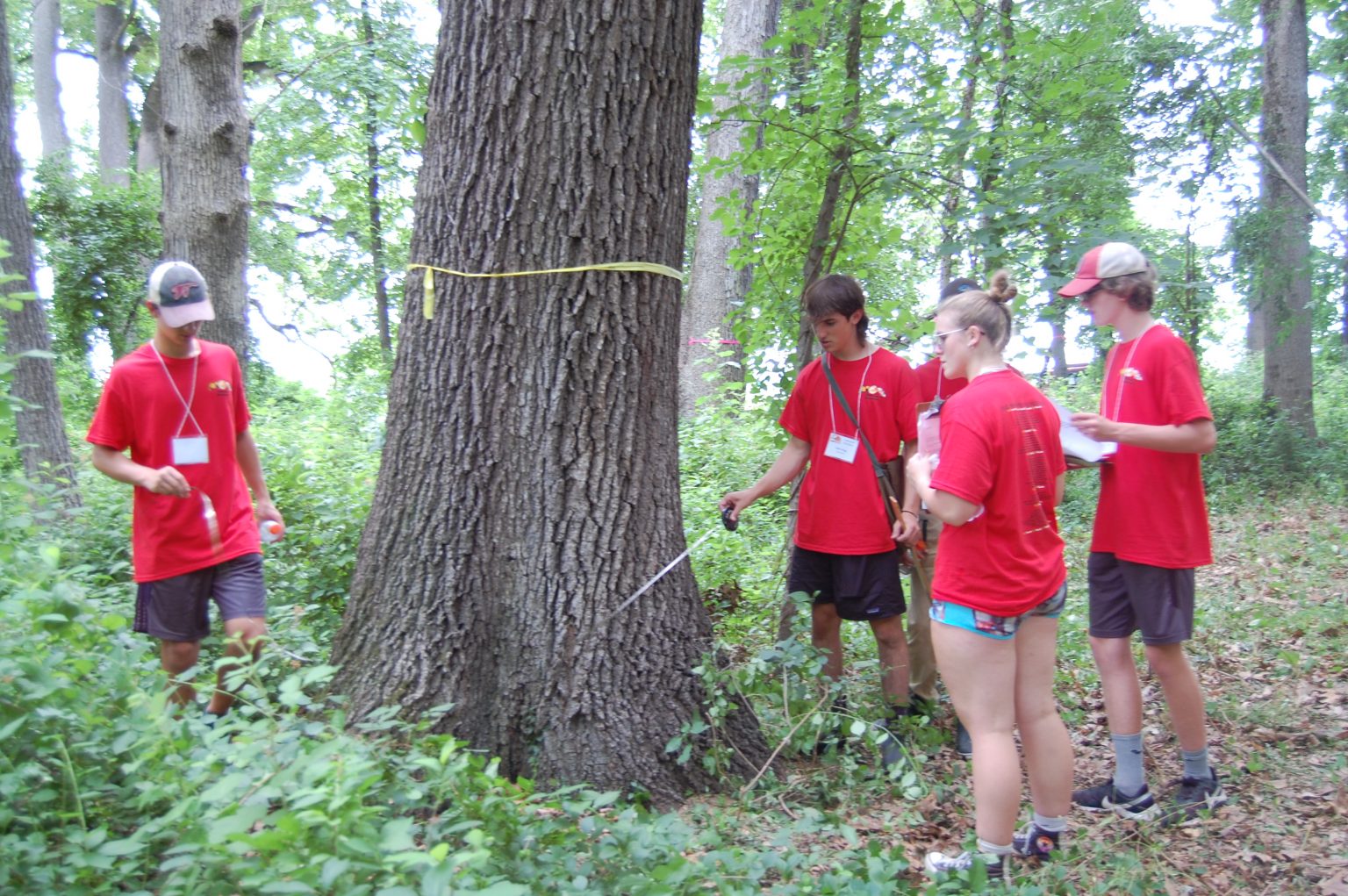 Forestry Maryland Envirothon